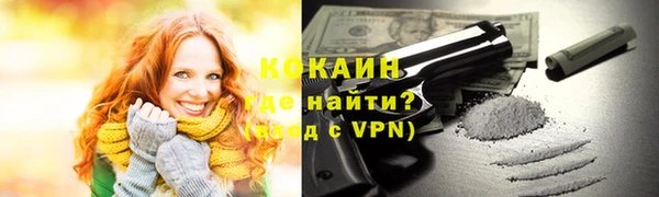 индика Балахна