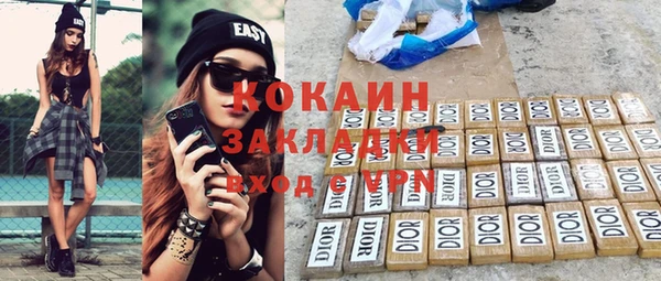 индика Балахна