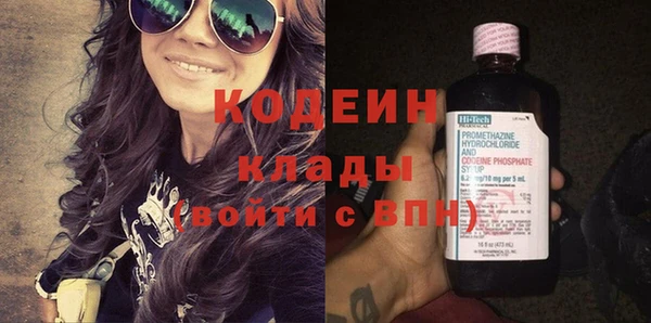 индика Балахна