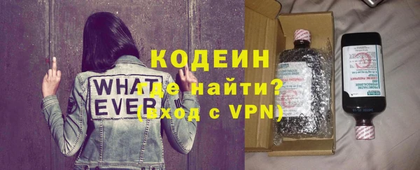 индика Балахна