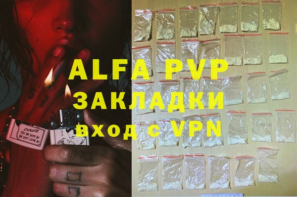 индика Балахна