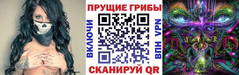 Псилоцибиновые грибы мухоморы  Губаха 