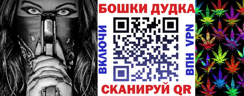 сколько стоит Губаха Каннабис планчик